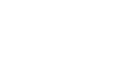 PICS Wordmark